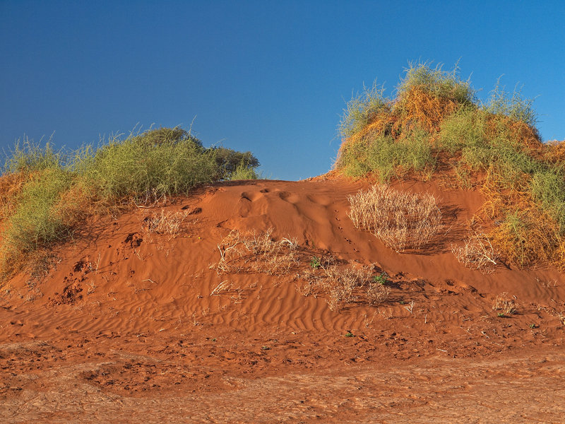 Sossusvlei
